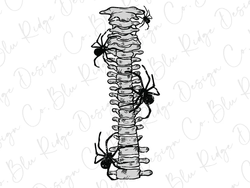 Spooky Spider Spine Skeleton (Back/Pocket Combo) Graphic T-Shirt