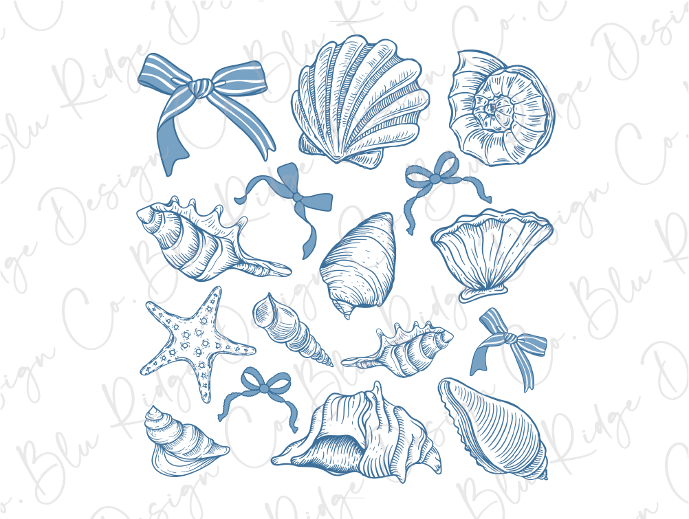 a drawing of seashells and starfish on a white background