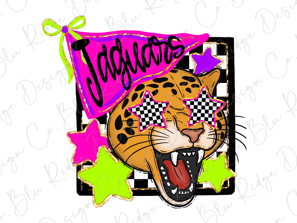 A cartoon image of a leopard with checkered star eyes, surrounded by colorful stars and a pink flag with the word "Jagglestones" written on it.
