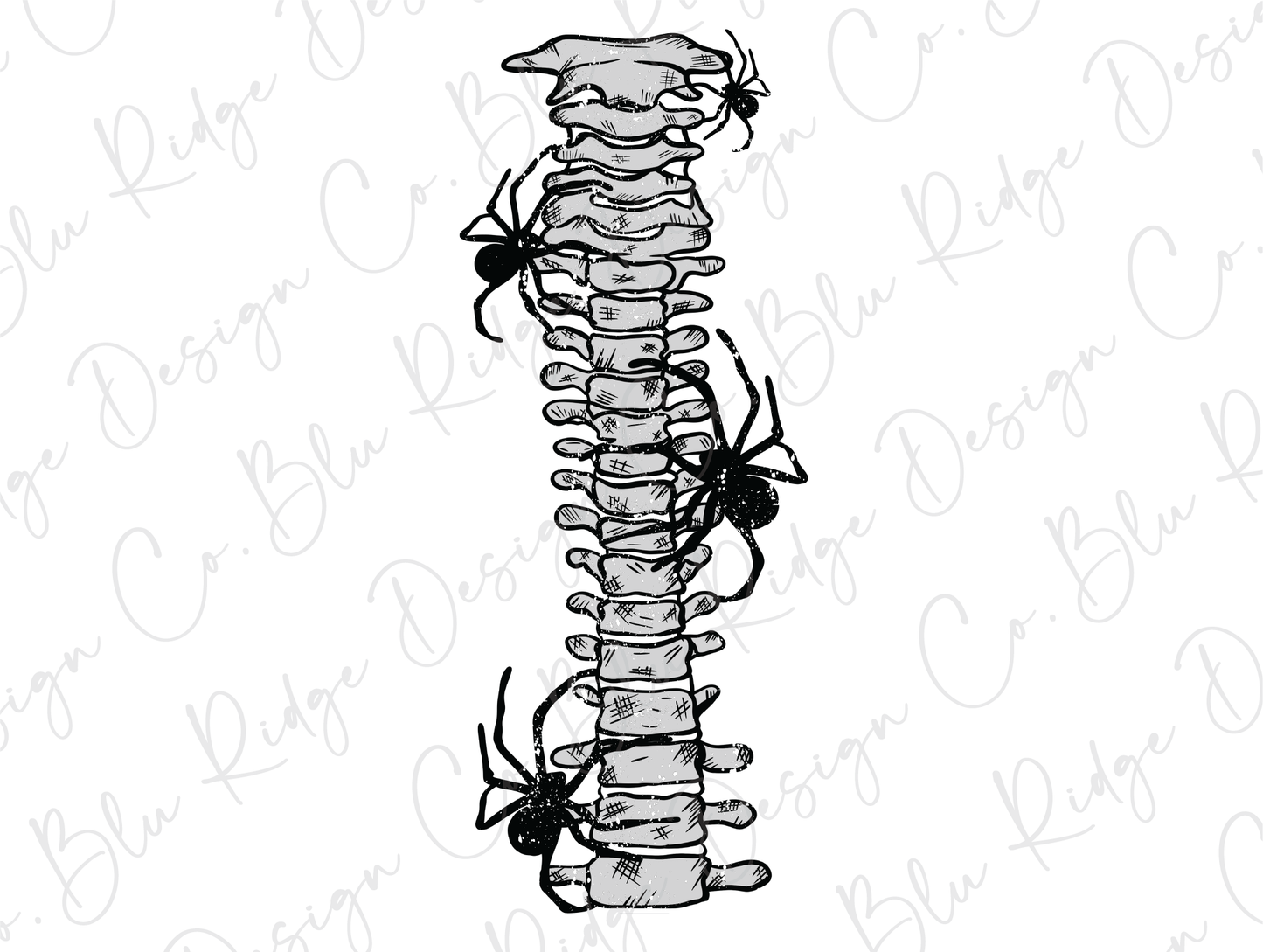 Spooky Spider Spine Skeleton (Back/Pocket Combo) Graphic T-Shirt