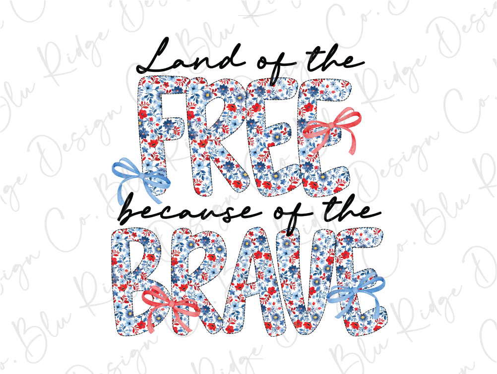land of the free because of the brave