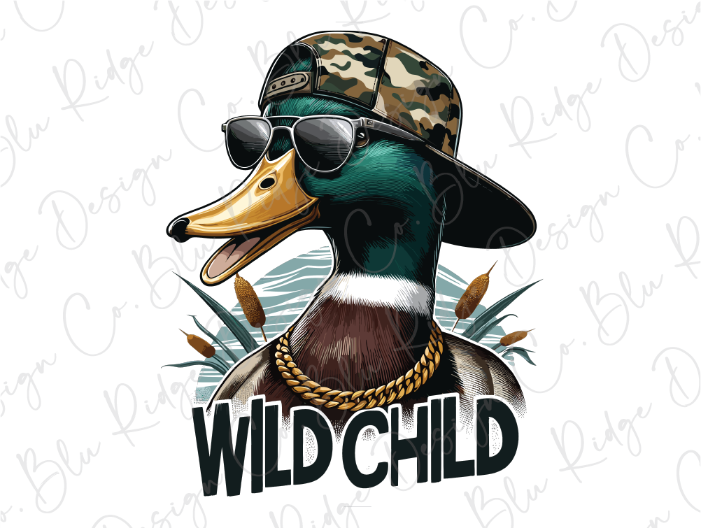a duck wearing a hat and sunglasses