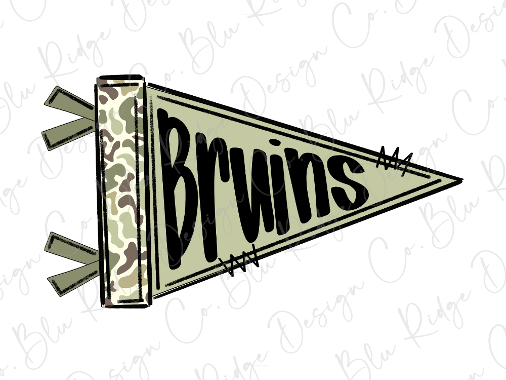 A flag with the word "Brains" written on it.