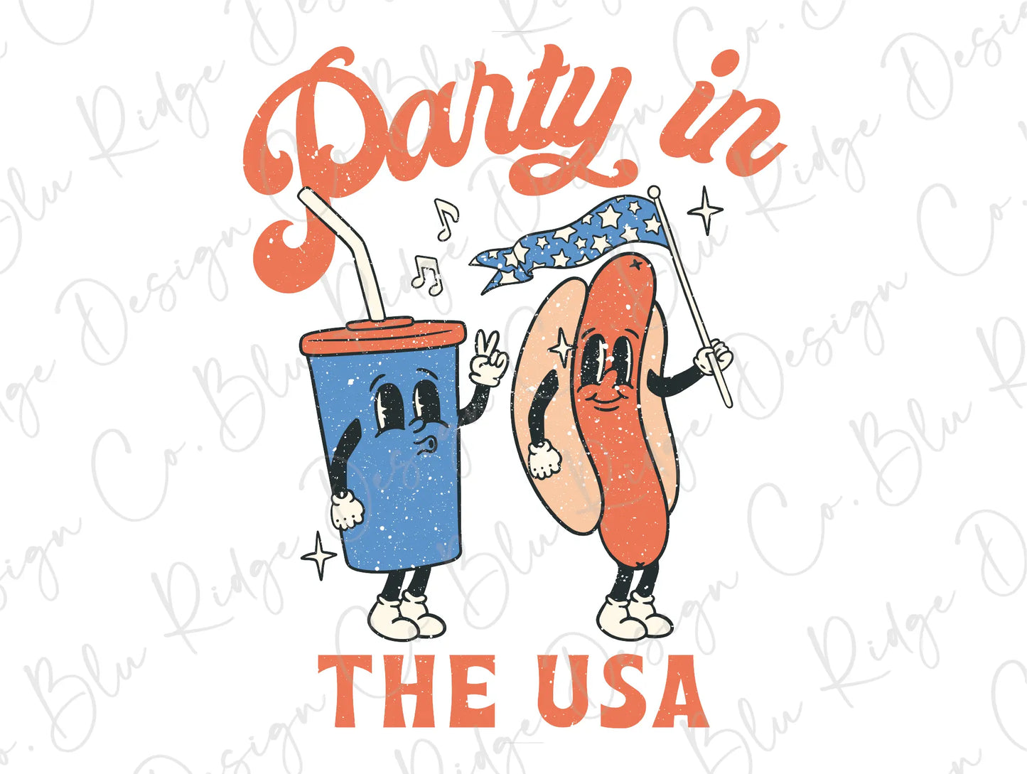 Party In The USA 4th of July Memorial Day Direct To film (DTF) Transfer BluRidgeDesignCo