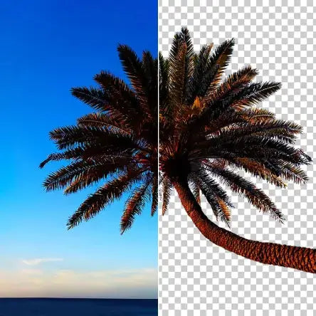 Background Removal Service