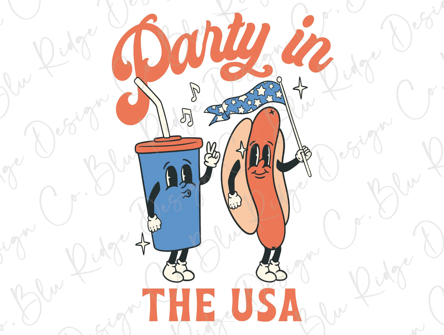 Party In The USA 4th of July Memorial Day Direct To film (DTF) Transfer BluRidgeDesignCo