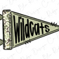 A flag with the word "Wildcats" written on it in a stylized font.