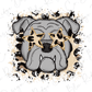 A stylized illustration of a bulldog wearing leopard print sunglasses with star-shaped patterns.