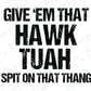 the words give em that hawk tuah sit on that thang