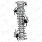 Spooky Spider Spine Skeleton (Back/Pocket Combo) Graphic T-Shirt