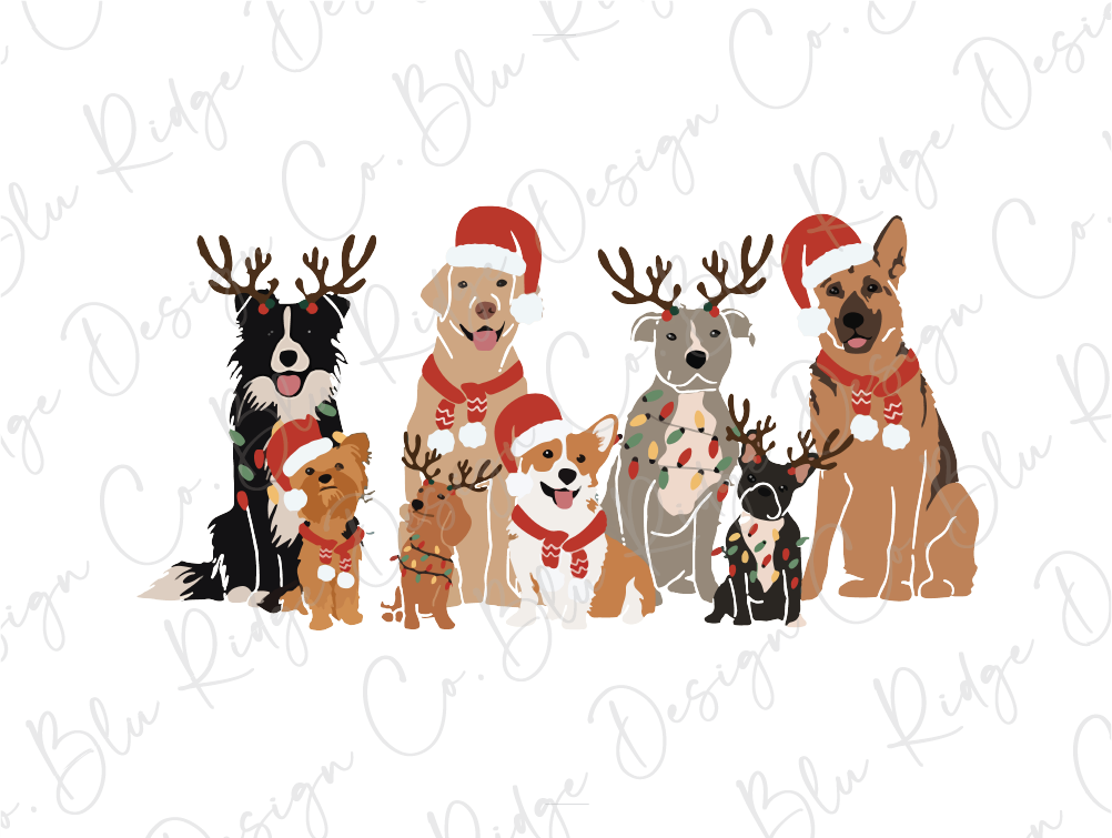 a group of dogs wearing christmas costumes