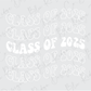 the class of 2009 is written in white on a gray background