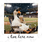 A duck wearing sunglasses and holding a drink while sitting in a lawn chair at a baseball game.