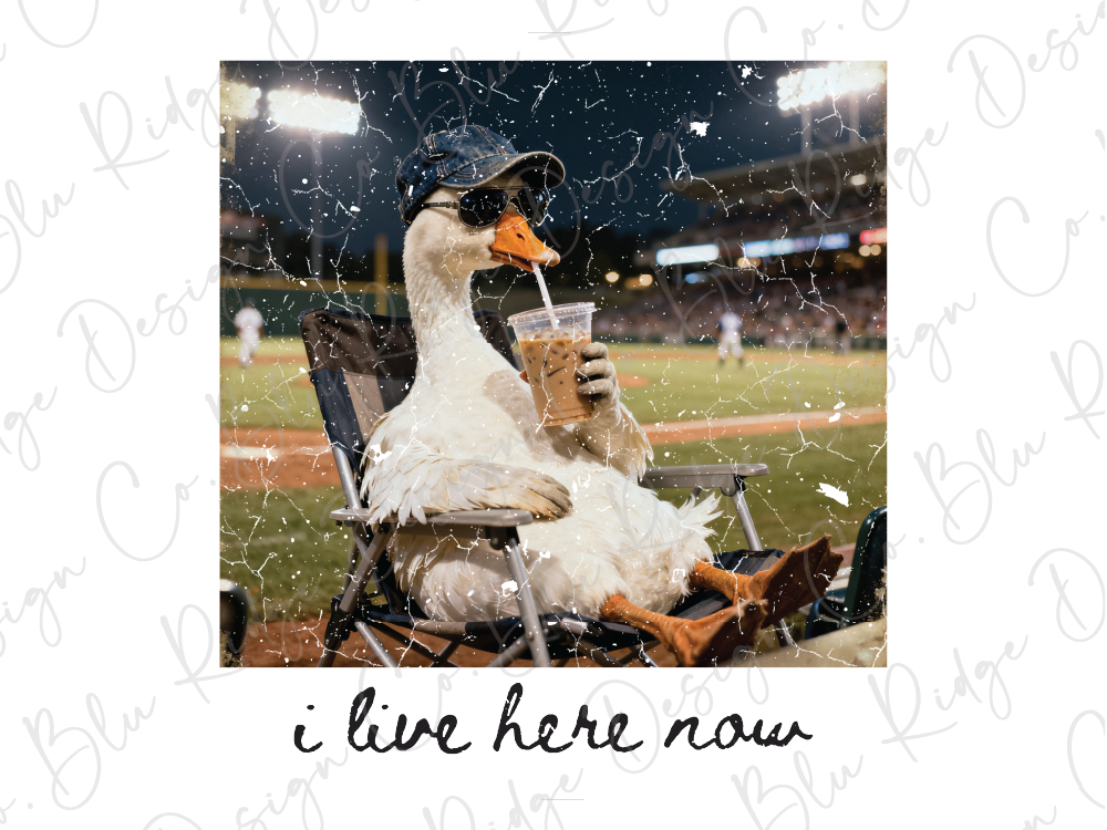 A duck wearing sunglasses and holding a drink while sitting in a lawn chair at a baseball game.