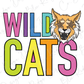 A colorful graphic design featuring the text "WILD CATS" with a stylized illustration of a cat's face.