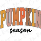 a white background with the words pumpkin season