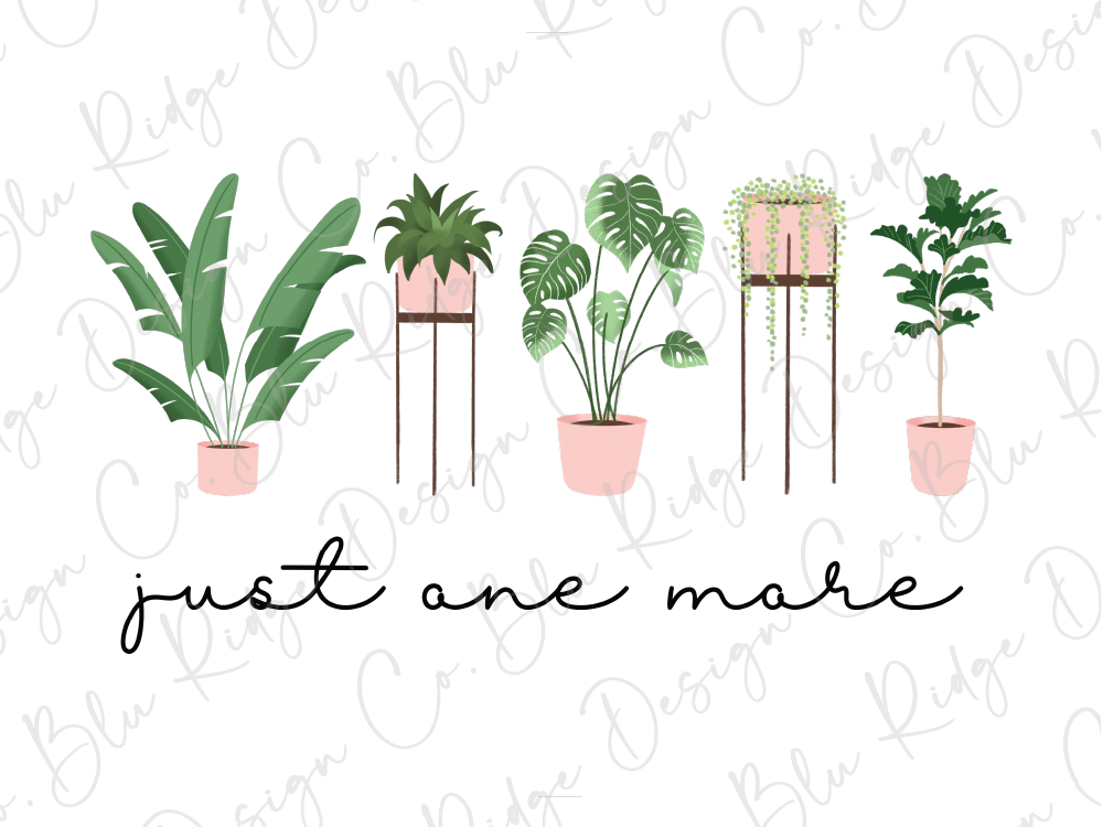 A collection of four potted plants with different types of foliage, arranged in a row, accompanied by the text "just one more" in a cursive font.