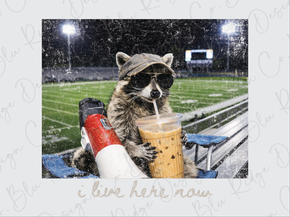 A raccoon wearing sunglasses and holding a drink is sitting on a bench in a stadium, with a stadium scoreboard visible in the background.