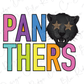 a black panther with star-shaped eyes, accompanied by the text "PANTHERS" in a colorful, stylized font.