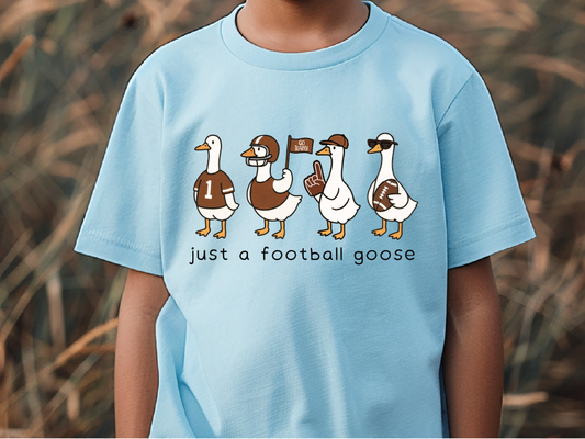 A light blue t-shirt with a graphic design of four cartoon ducks, each wearing a different type of hat and holding a football, along with the text "Just a football goose".