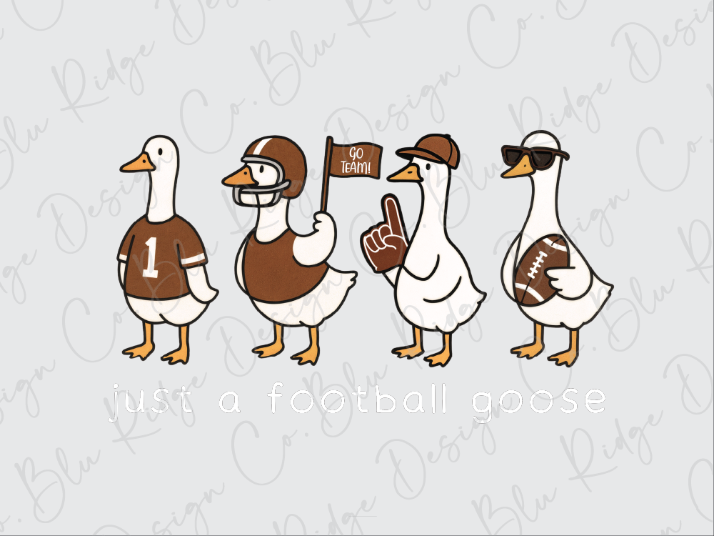 A group of four cartoon ducks, each dressed in a different football-related outfit, are standing together and holding a football.