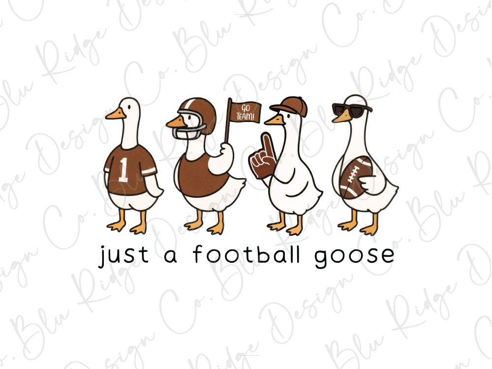 A group of four cartoon ducks, each dressed in a different football-themed outfit, standing together and holding various football-related items such as a football, a cheerleader, and a football helmet.
