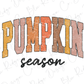 a white background with the words pumpkin season