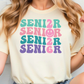 Retro Senior 2026 Graphic T-Shirt