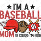 i'm a baseball mom of course i'm broke