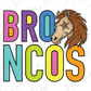 a stylized representation of the word "BRONNCOS" with a horse's head and star design.