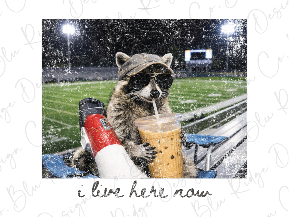 A raccoon wearing sunglasses and holding a drink is sitting on a bench in a stadium, with a stadium scoreboard visible in the background.