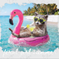 A raccoon wearing sunglasses and holding a drink is sitting on a pink flamingo-shaped float in the ocean, with a beach and palm trees in the background.