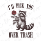 a raccoon holding a rose that says i'd pick you over trash