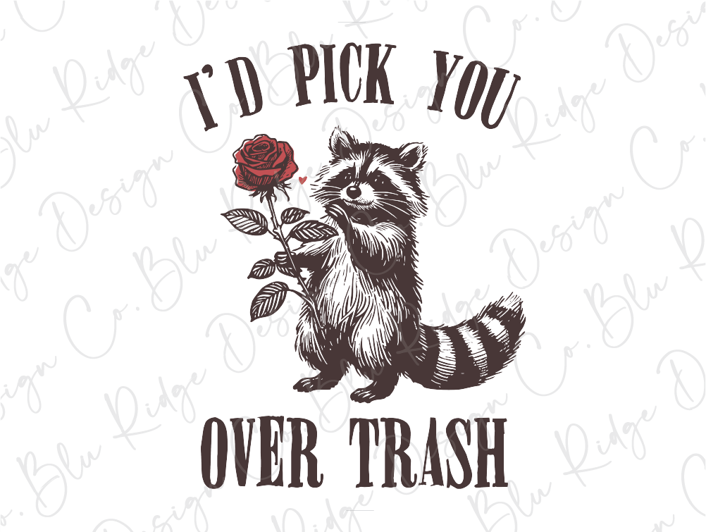 a raccoon holding a rose that says i'd pick you over trash