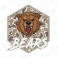 A cartoon illustration of a brown bear with its mouth open, surrounded by a camouflage pattern. The word "BEARS" is written below the bear.