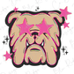 Preppy Neon Star Eyed Bulldogs Mascots Graphic T-Shirt