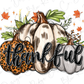 Thankful Fall Leopard Pumpkin Graphic T-Shirt