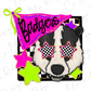 A cartoon image of a badger wearing a pink and green badger hat with the word "Badgers" written on it, surrounded by colorful stars and checkered patterns.