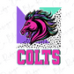 A stylized logo featuring a pink and purple horse with a multicolored mane, accompanied by the word "COLTS" in bold pink letters.
