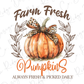 a pumpkin with a bow on it and the words farm fresh pumpkins always fresh