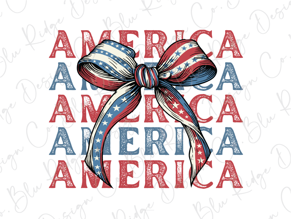 a red, white and blue bow with the words america on it