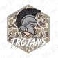 a helmet with a plume and the word "TROJANS" written below it.