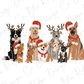 Christmas Dogs Graphic T-Shirt