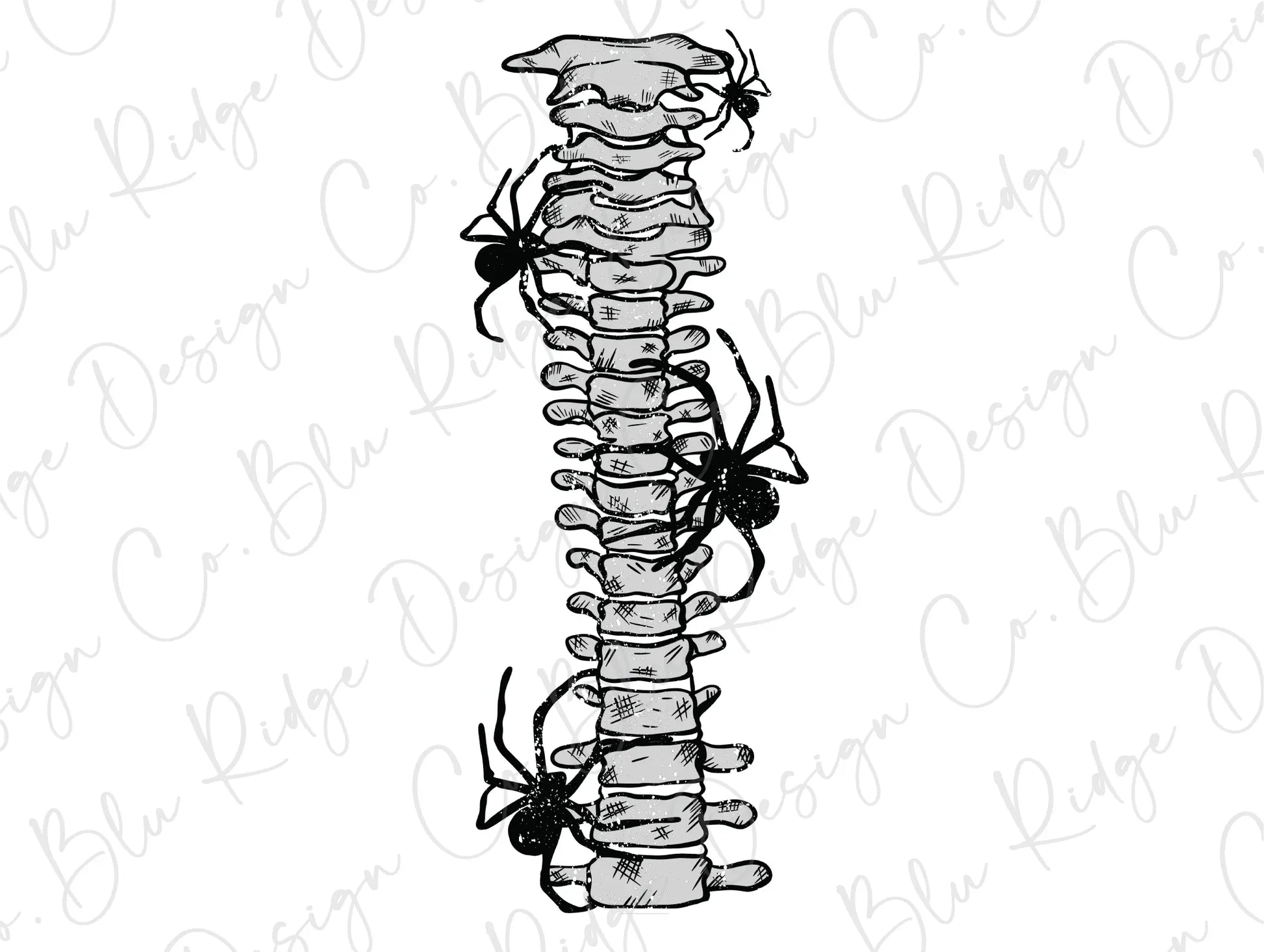 Spooky Spider Spine Skeleton (Back/Pocket Combo) Direct To Film (DTF) Transfer BluRidgeDesignCo