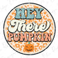 Hey There Pumpkin Leopard Print Direct To Film (DTF) Transfer