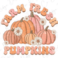 Farm Fresh Pumpkins Groovy Retro Fall Floral Direct To Film (DTF) Transfer