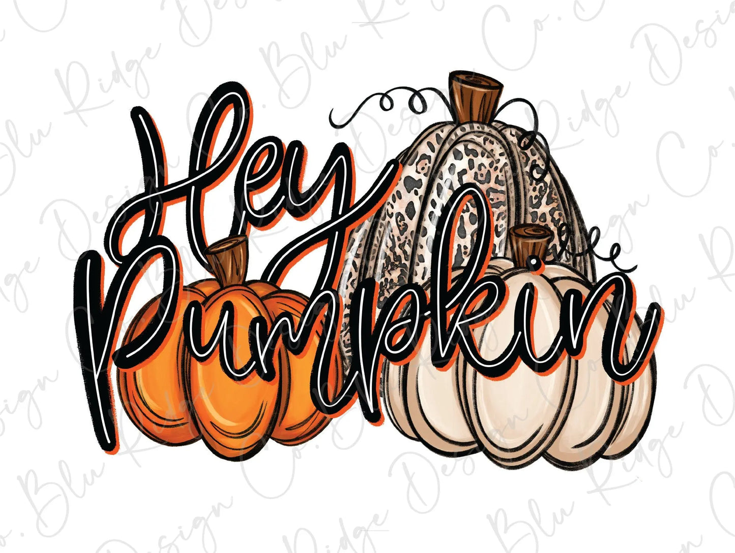 Hey Pumpkin Direct To Film (DTF) Transfer BluRidgeDesignCo