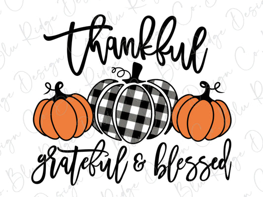 Thankful Grateful Blessed Checkered Pumpkin Direct to Film (DTF) Transfer BluRidgeDesignCo