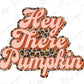 Hey There Leopard Pumpkin Direct To Film (DTF) Transfer