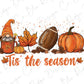 Tis The Season Football Gnomes Pumpkin Spice Direct to Film (DTF) Transfer BluRidgeDesignCo